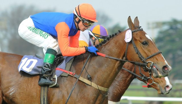 Don Inc corre hoy en San Isidro Don Inc San Isidro