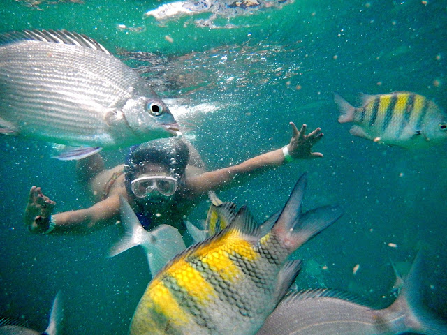 Mergulho na Lagoa Azul, Angra dos Reis