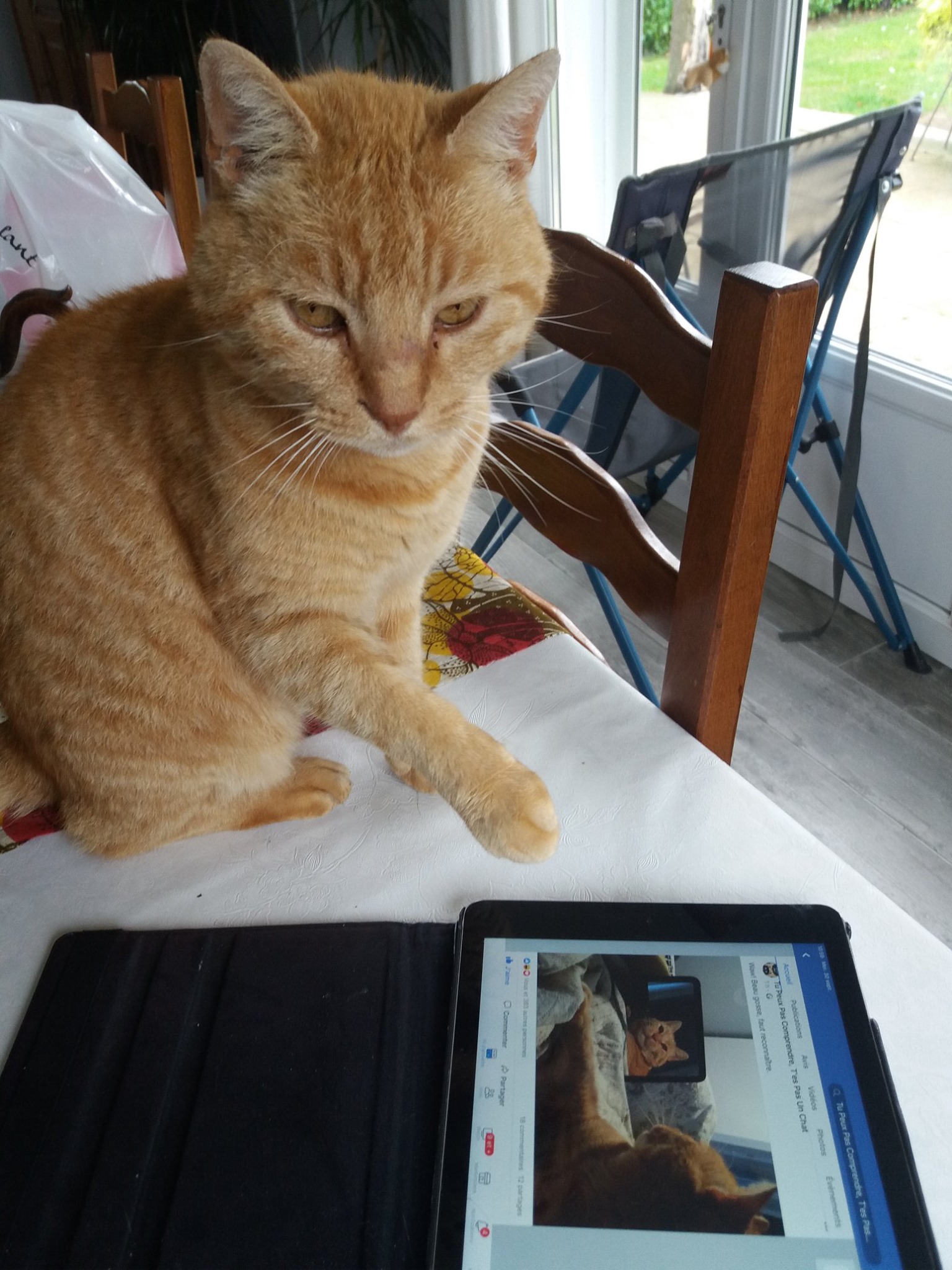 Tu Peux Pas Comprendre, T