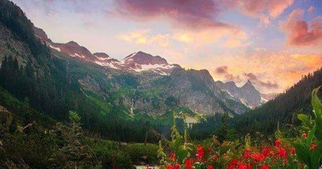 Guten Morgen Spruche Fur Verliebte Die Schonsten Spruche