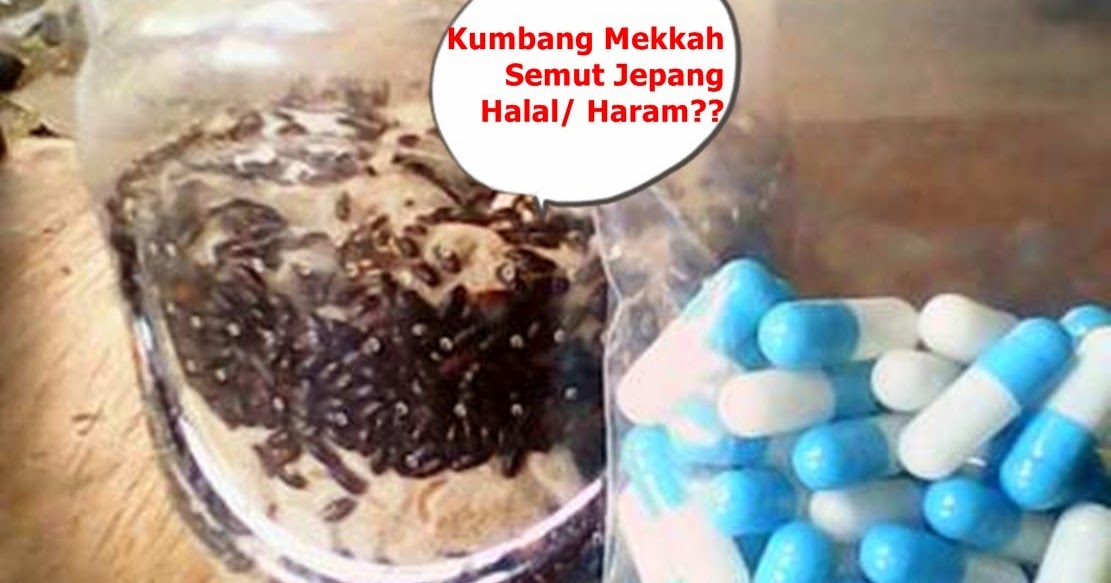 Bisnis Trading Halal Atau Haram / Trading Haram Tidak Apa penjelasan