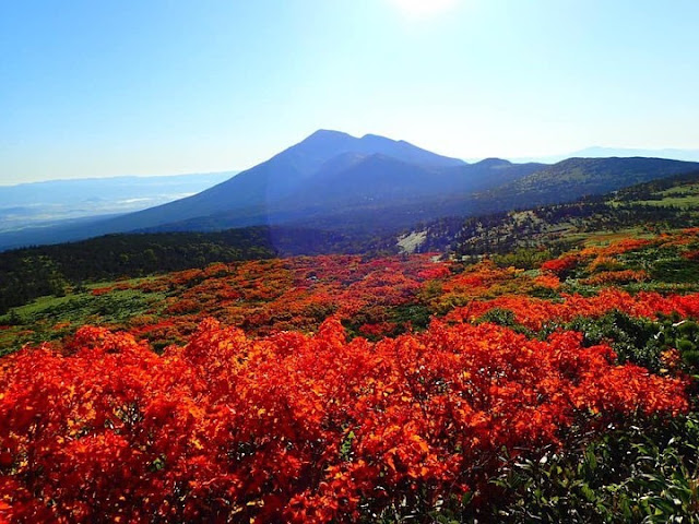 Hachinantai Mount (Tohoku)