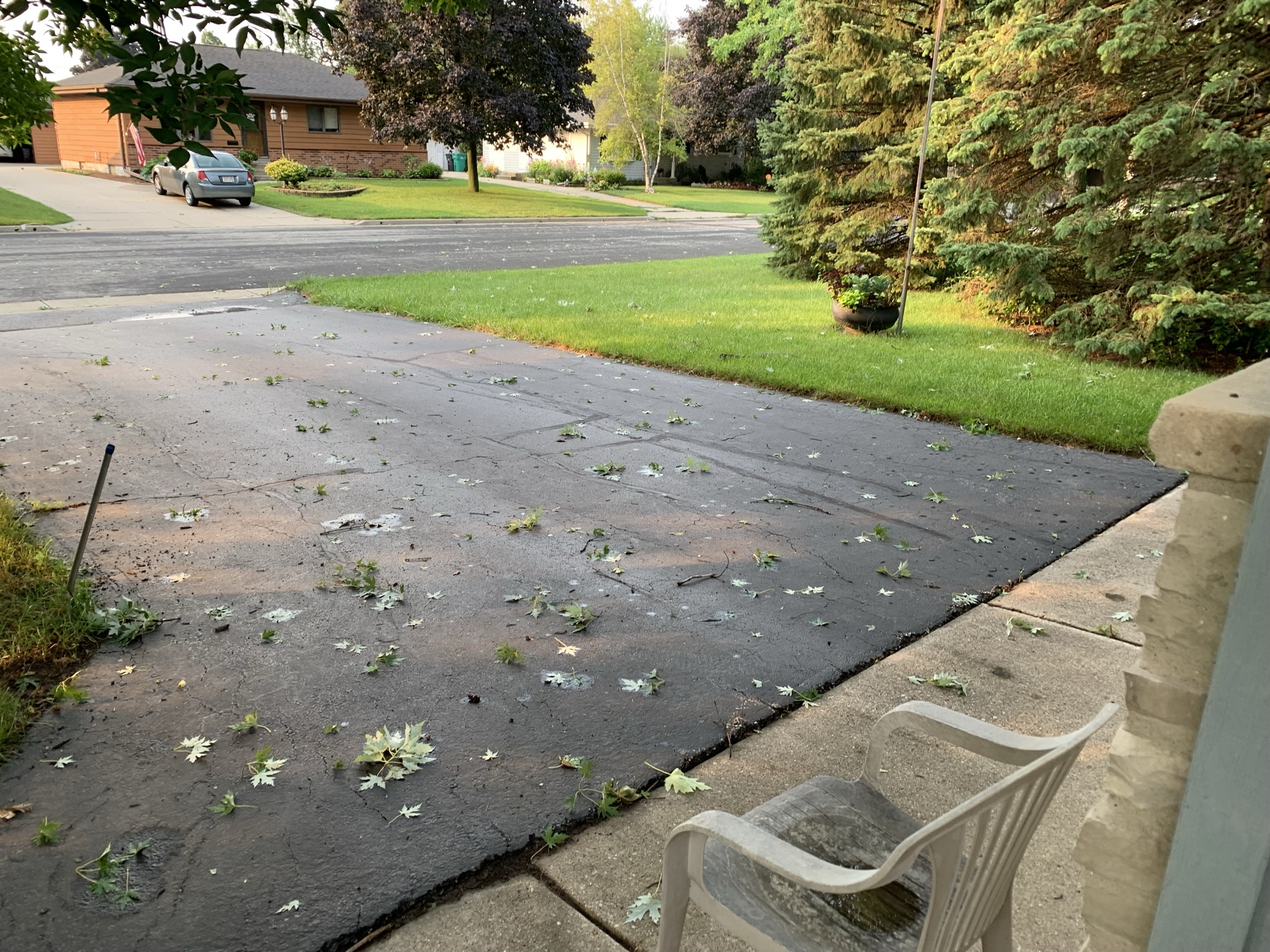 JUST DUCKY! Thankful Thursday