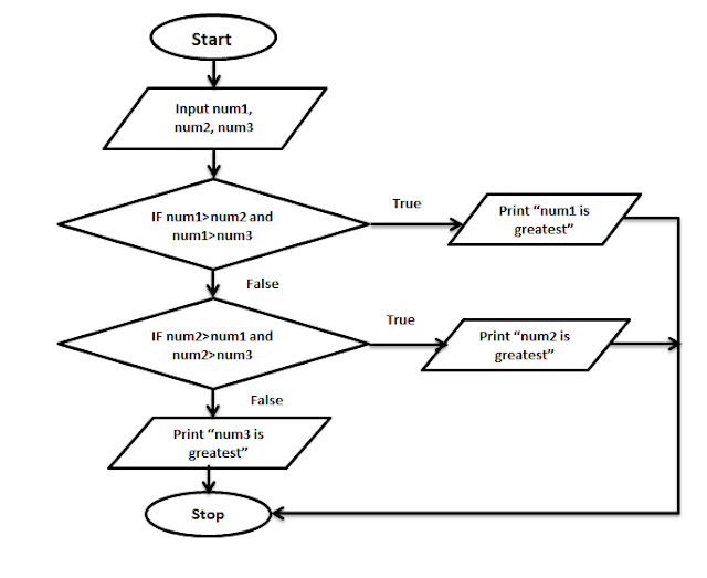 PLK computer SIR: Algorithm & Flowchart Notes
