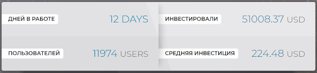 Статистика проекта mizes.biz обзор