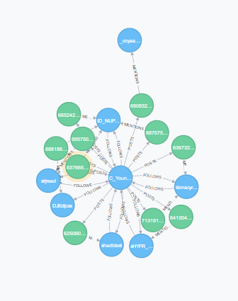 What does your Twitter Network Look Like?