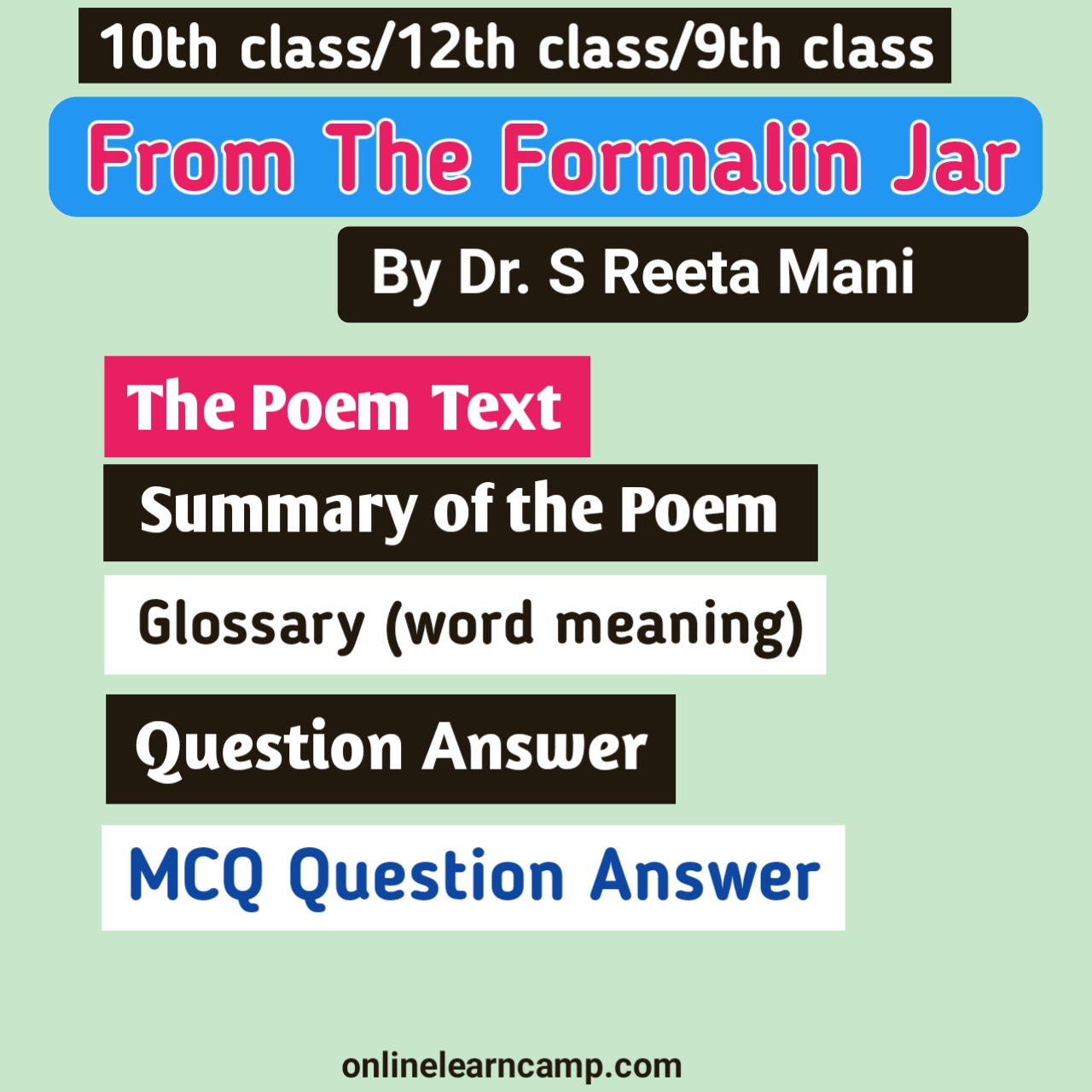 From The Formalin Jar Summary And Question Answer MCQ Question Paper