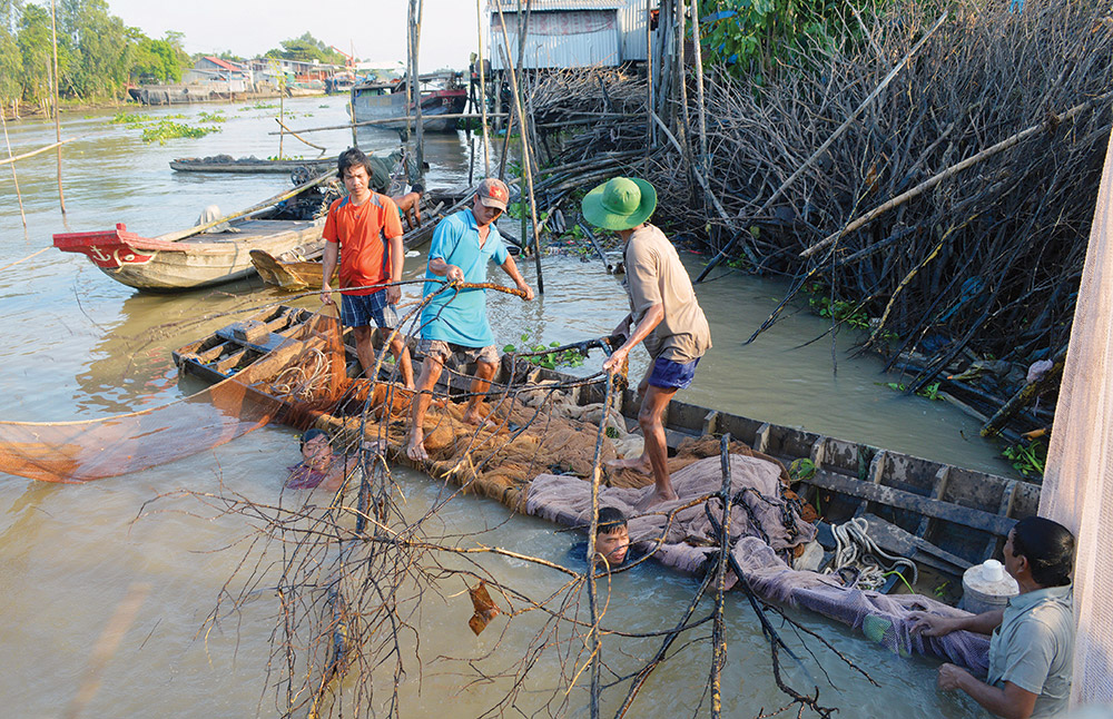 Amazing Vietnam Nghề “dụ” cá trên sông