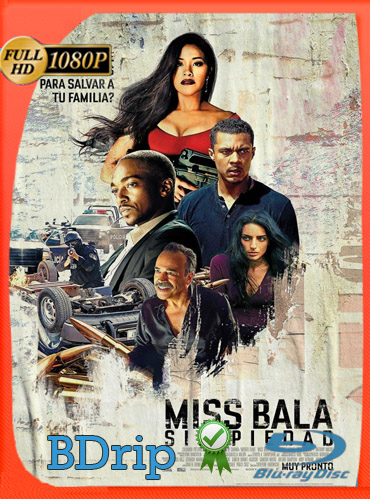 Miss Bala: sin piedad (2019) BDRIP 1080p Latino Dual [GoogleDrive] TeslavoHD