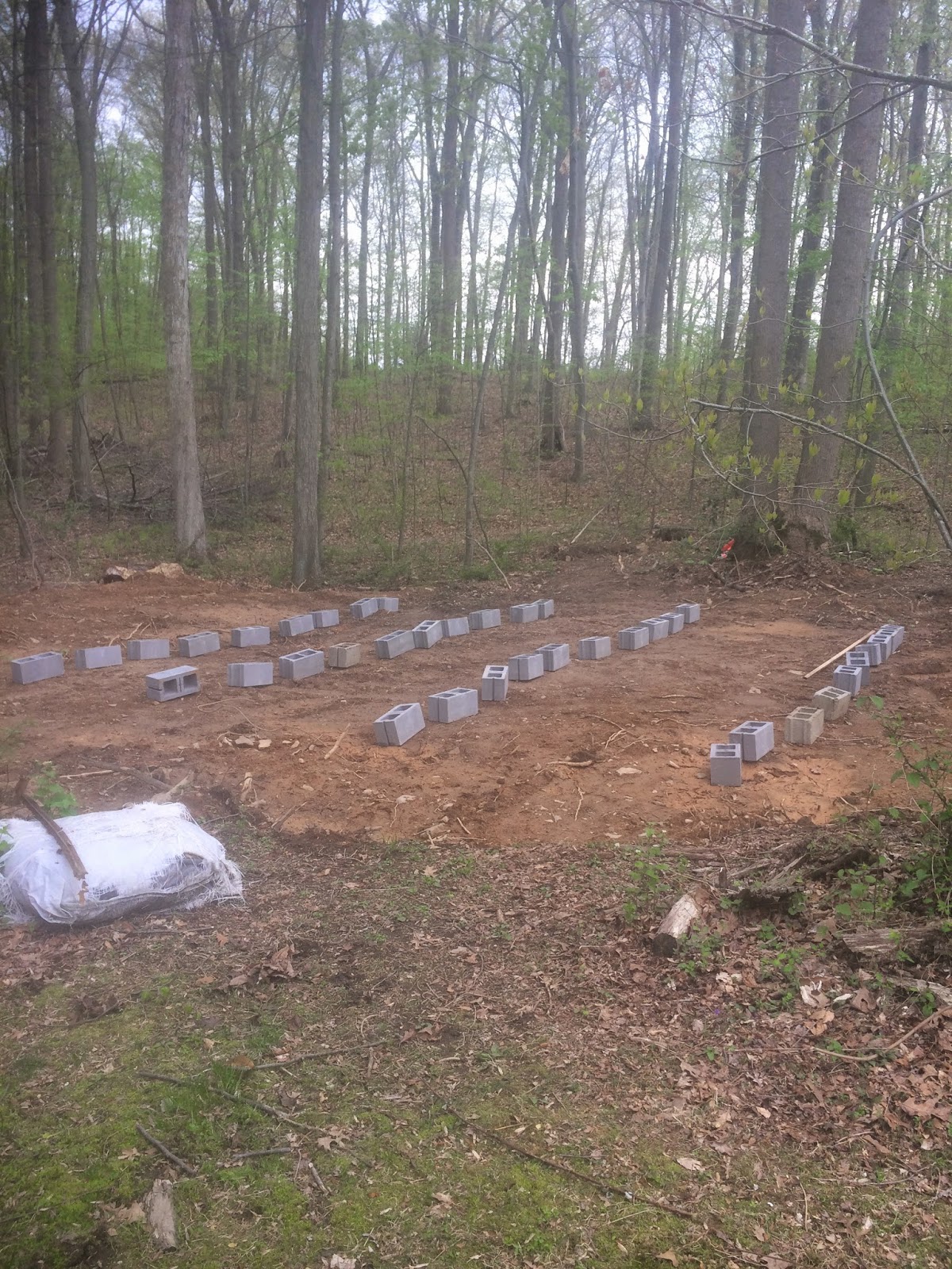 Maryland Backyard Vert Ramp