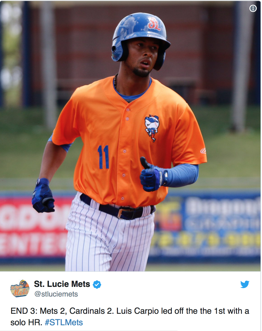 st lucie mets mascot