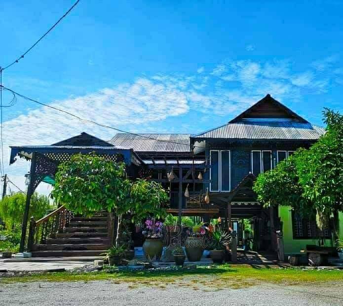 Homestay Ala Kampung Siap Ada Kolam Renang Luas Depan Rumah Di Tanjung