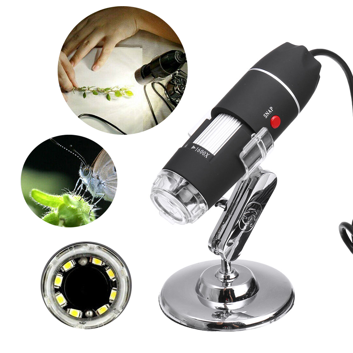 Usb microscope software windows 10 Usb microscope software windows 10