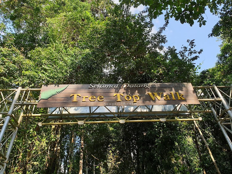 Tree Top Walk Sungai Sedim