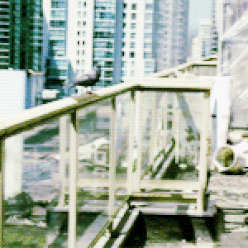 ezgif-6-0f839dac060b.gif"