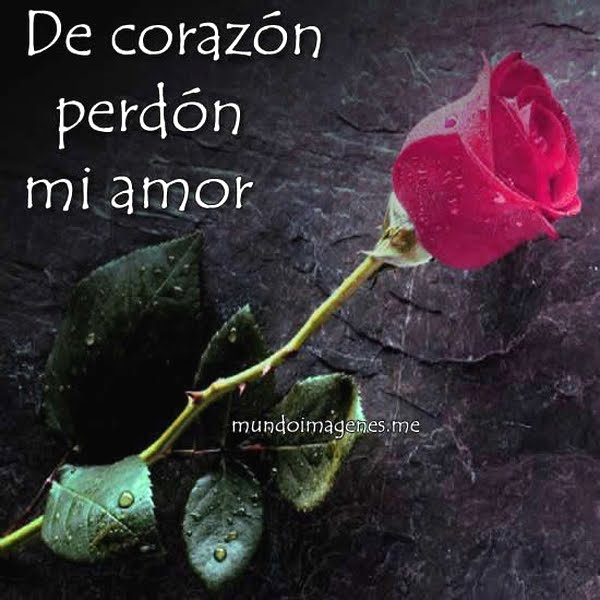 imagenes perdoname perdon amor fotos-320