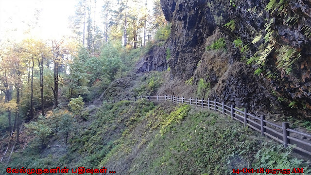 South Falls Trail Oregon