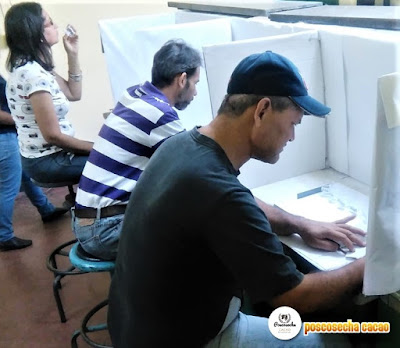 Panel de catadores entrenados para la evaluación de cacao y chocolate.