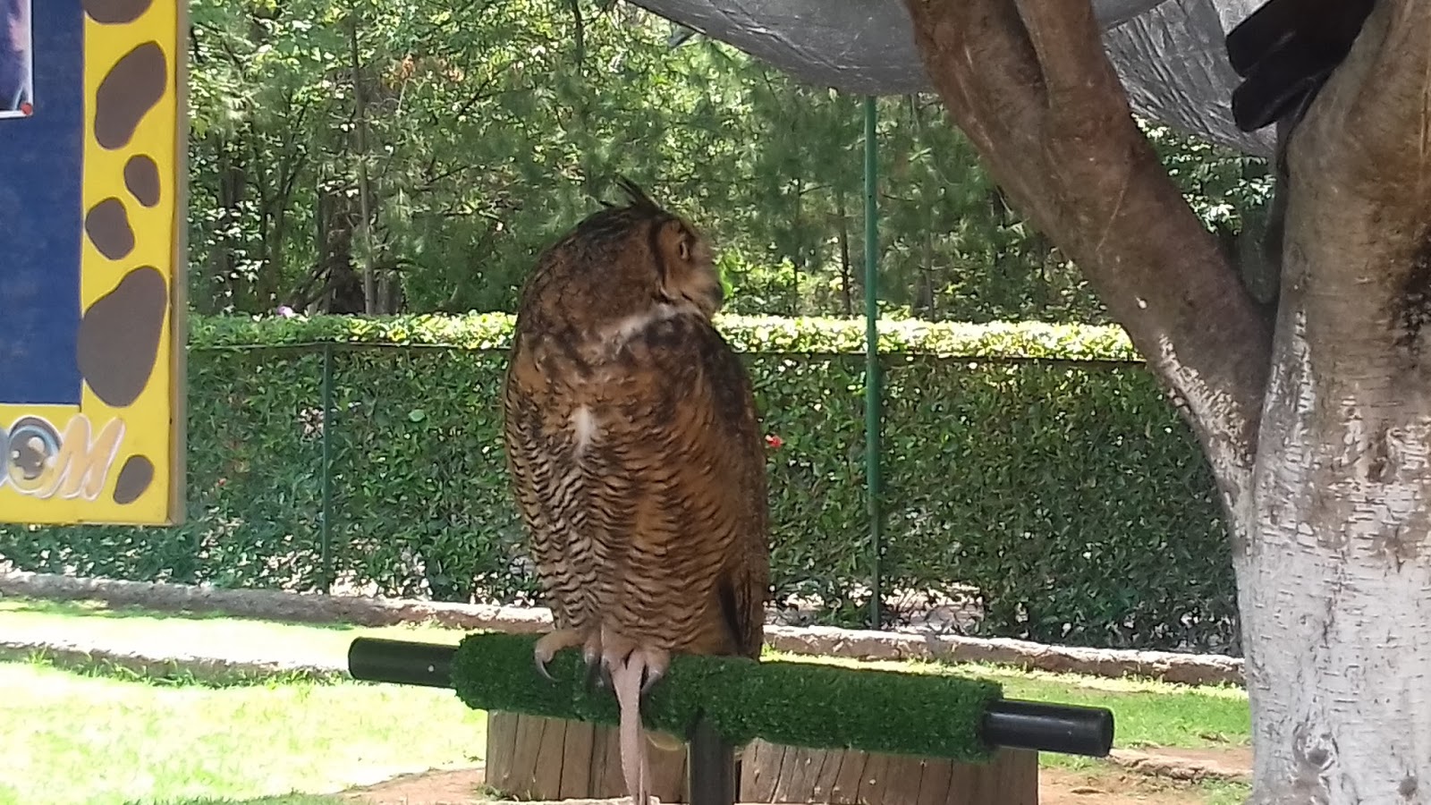 MORELIA Y SU ZOOLÓGICO, EN EL ESTADO DE MICHOACÁN CIENCIA, SALUD Y