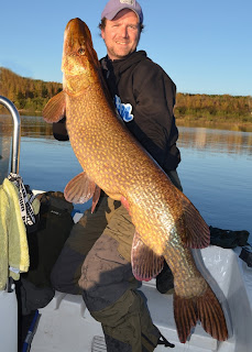 pike northern sweden inch fishing big fish record monster biggest pound europe largest fishes christer pikes international river blogthis email