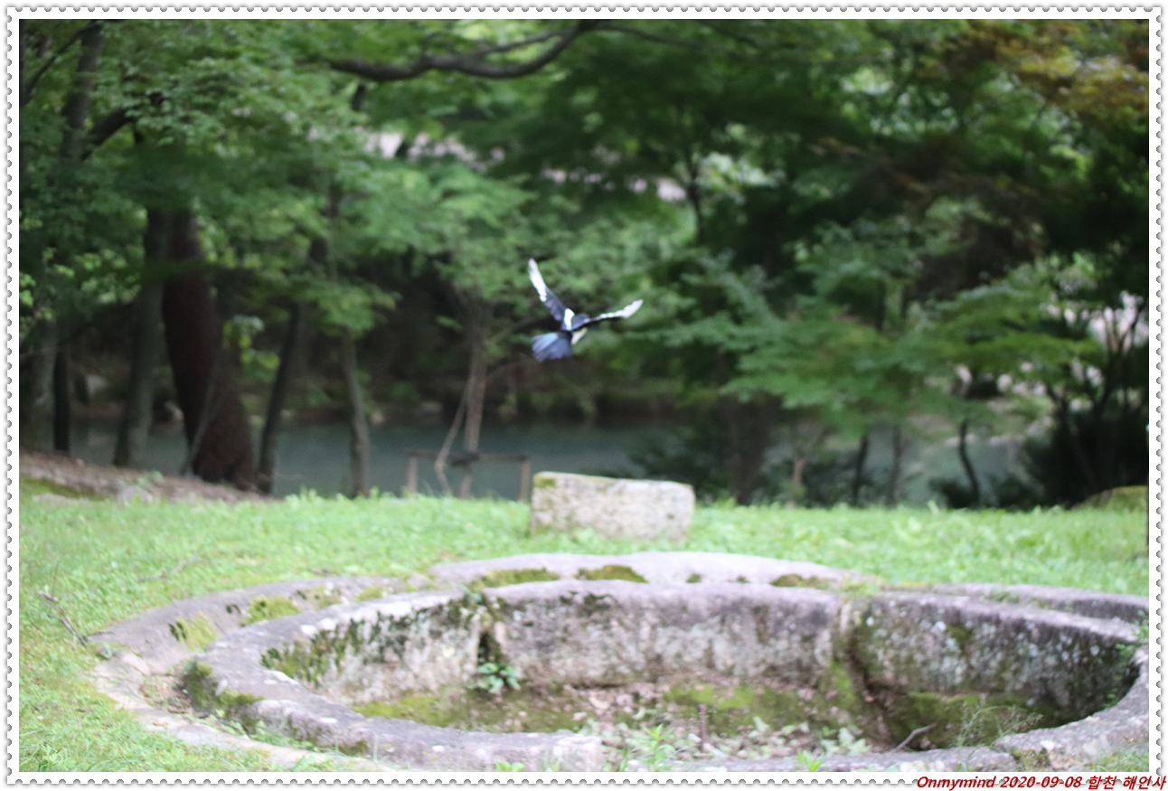 합천 해인사 합천 해인사