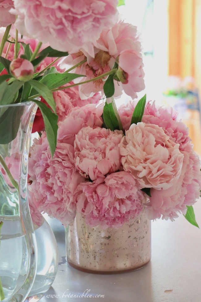 Botanic Bleu Romantic French Country Pink Peonies