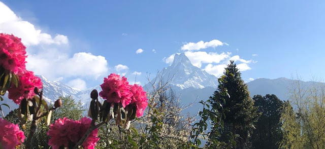 Коронавирус в Непале