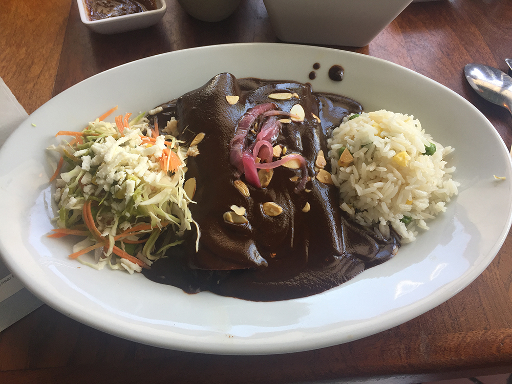 Austin, Texas Daily Photo Duck Enchiladas in Molé Sauce