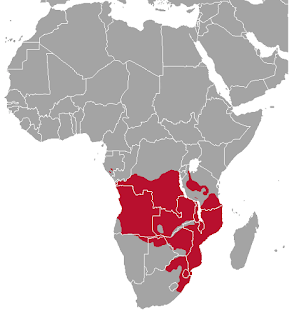 Güney kamış antilobunun dağılım haritası