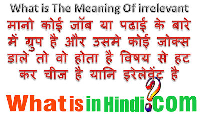 What is the meaning of irrelevant in Hindi