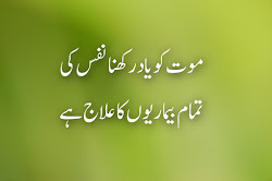 quotes urdu nice