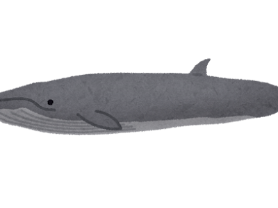 いろいろ クジラ イラスト フリー 239004-クジラ イラスト フリー 白黒