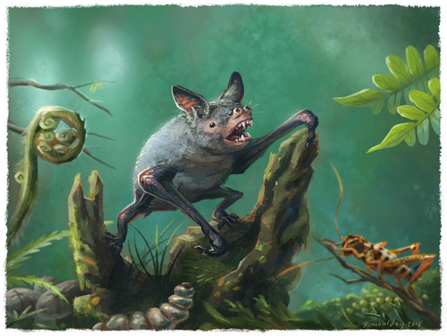 Info on Bats Giant extinct burrowing bat discovered in New Zealand