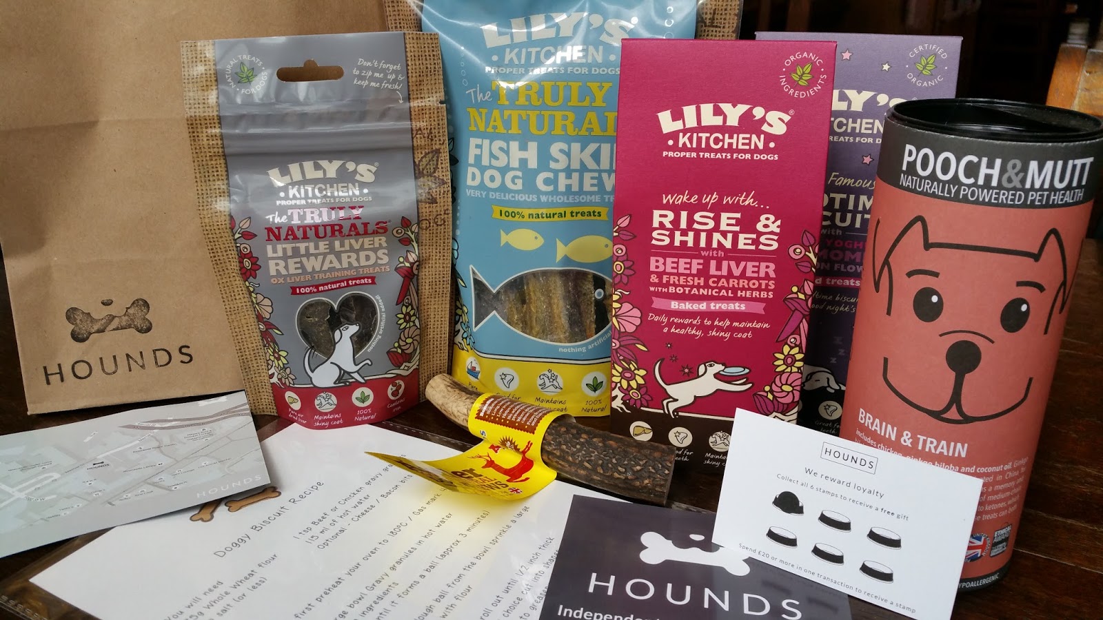 Hounds NewcastleUnderLyme Staffordshire Paws across Britain