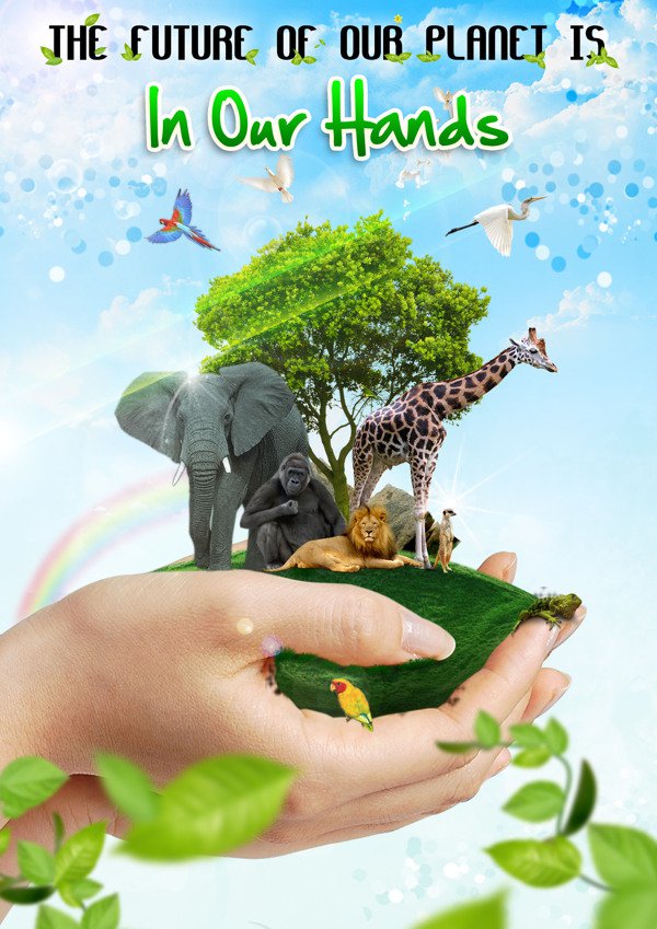 15 Contoh Gambar  Desain Poster  Lingkungan Go Green 