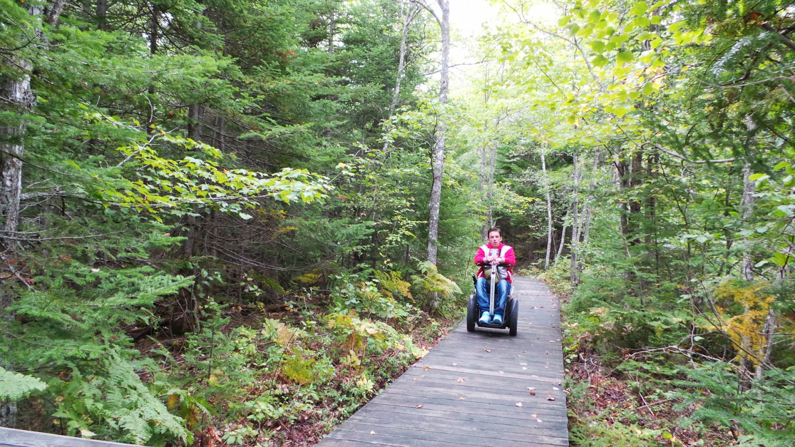 Parc National de Kouchibouguac, NB