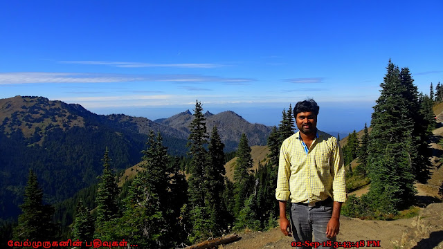 Sunrise Point Trail Hurricane Ridge Wa