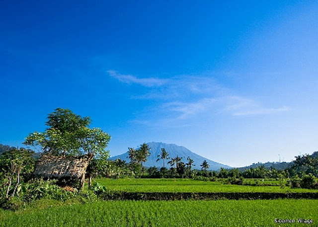 Things To Do in Bali 5