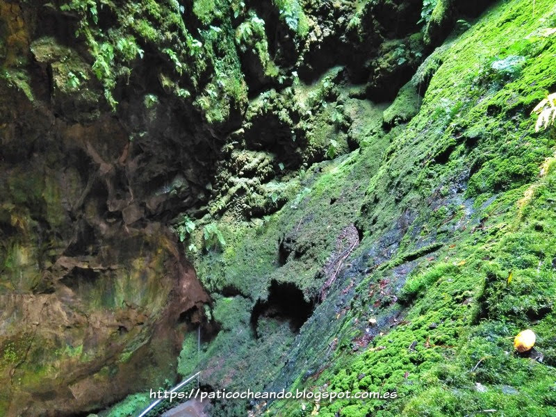 Paticocheando: Isla Terceira
