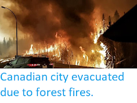 https://sciencythoughts.blogspot.com/2016/05/canadian-city-evacuated-due-to-forest.html