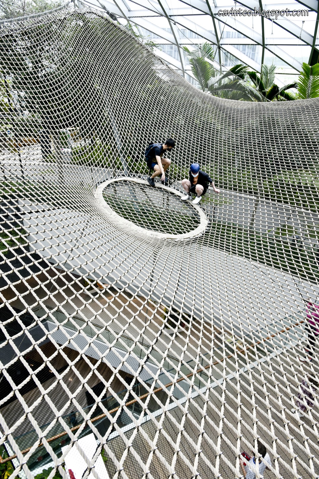 Entree Kibbles Manulife Sky Nets (Walking) Challenge Your Fear for