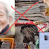 CON CỦA LÊ ĐÌNH KÌNH VÀ NHỮNG LUẬN ĐIỆU GHÊ TỞM TRƯỚC PHIÊN TÒA PHÚC THẨM