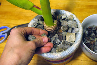 sweater, recycling, clothes renewal, fashion, winter clothes, sewing, old clothes processing, old sweater, vintage clothes, flower pot, lamp, self-made, pillow, pillowcase, sofa, winter decoration, autumn decoration, decoration ideas, economic ideas for home