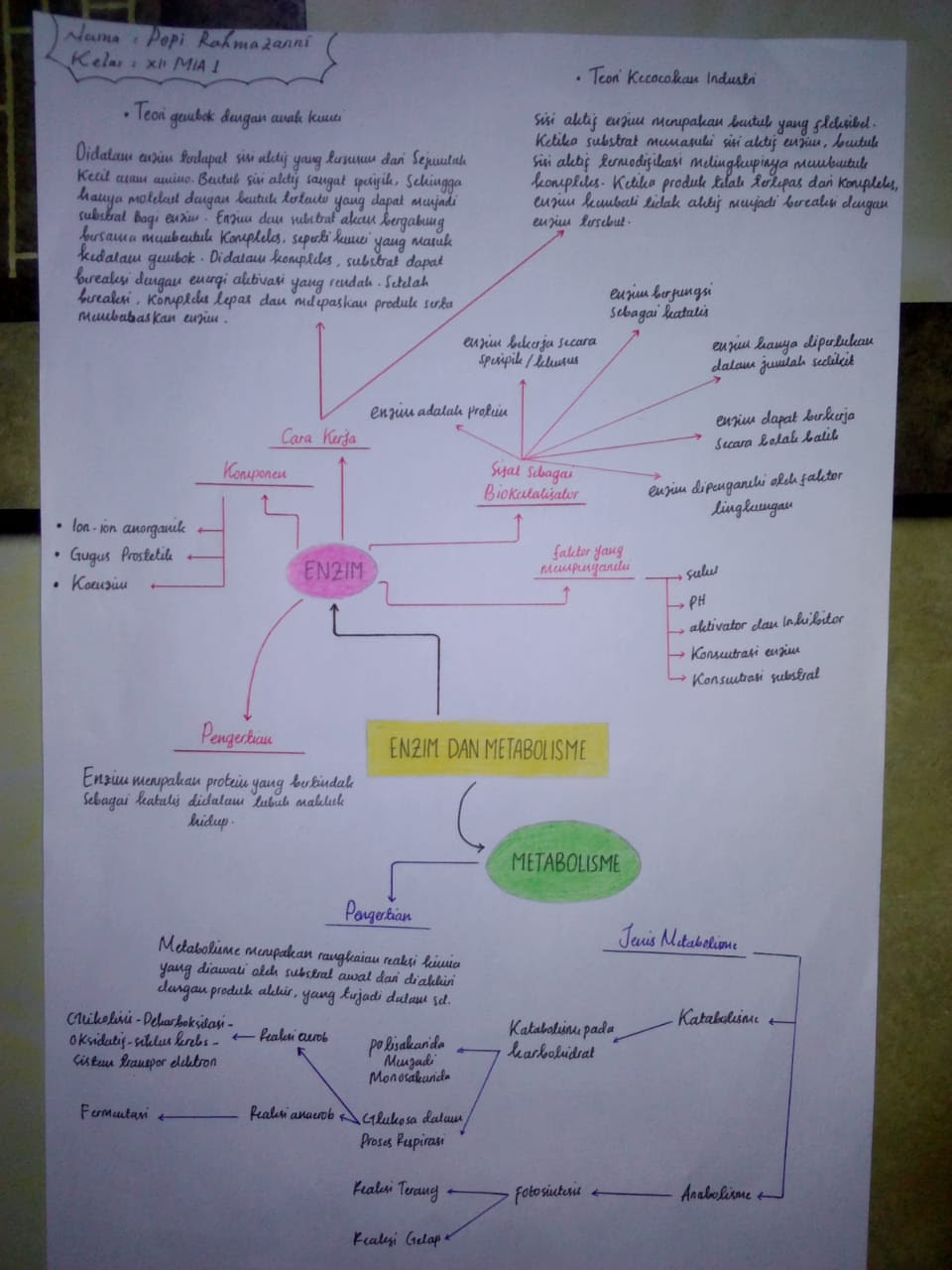 Tugas Mind Mapping Materi Enzim dan Metabolime Kelas XII
