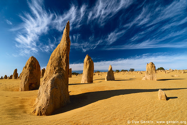 THE PINNACLES DESERT
