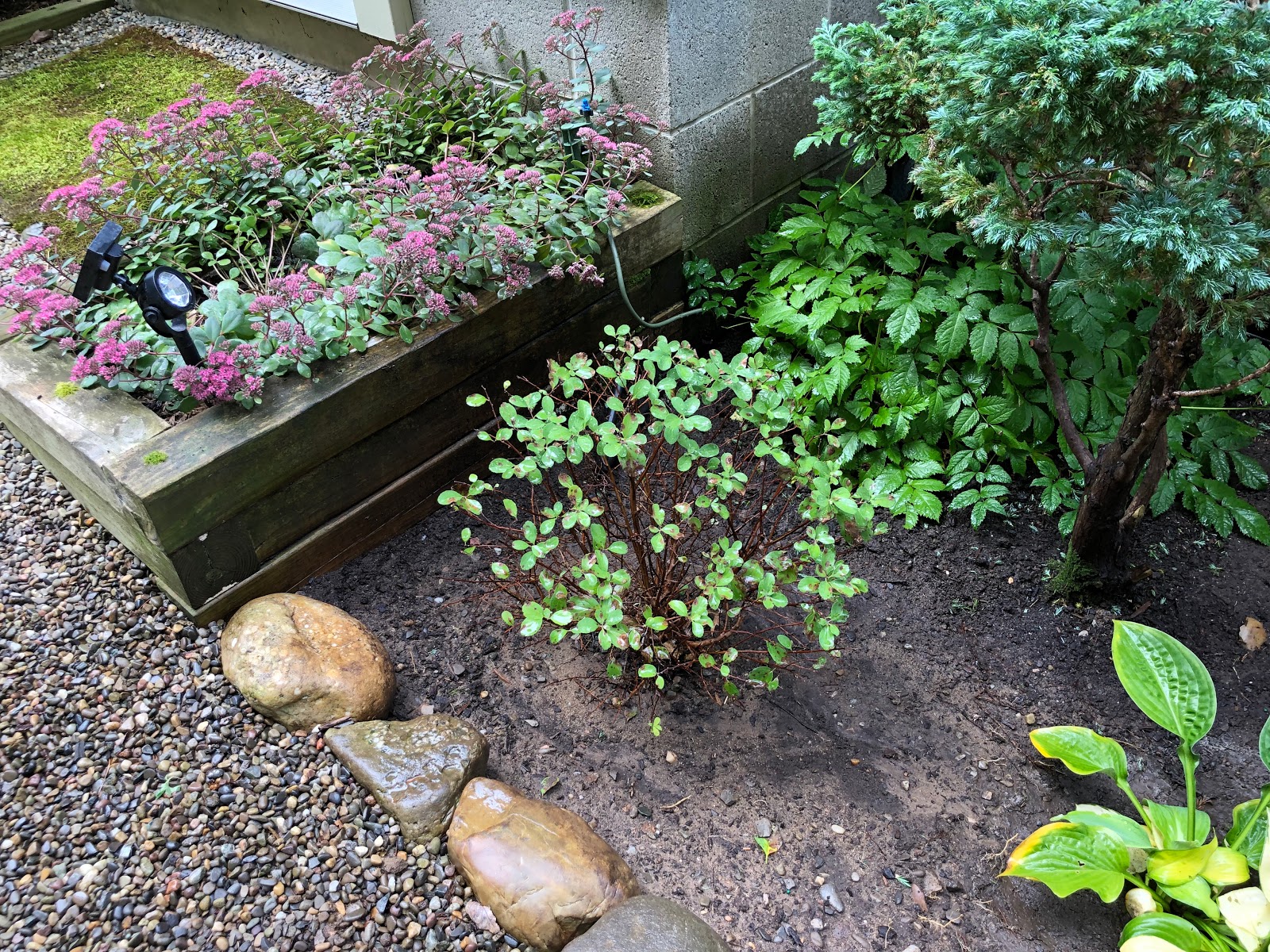 My Zen Garden Rearrangements