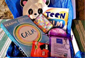 The contents of the teen calm box. A book, bathbomb, sweet treat, fidget toy, facemask.