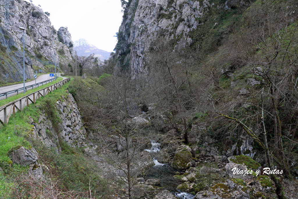 Senda del oso, Asturias