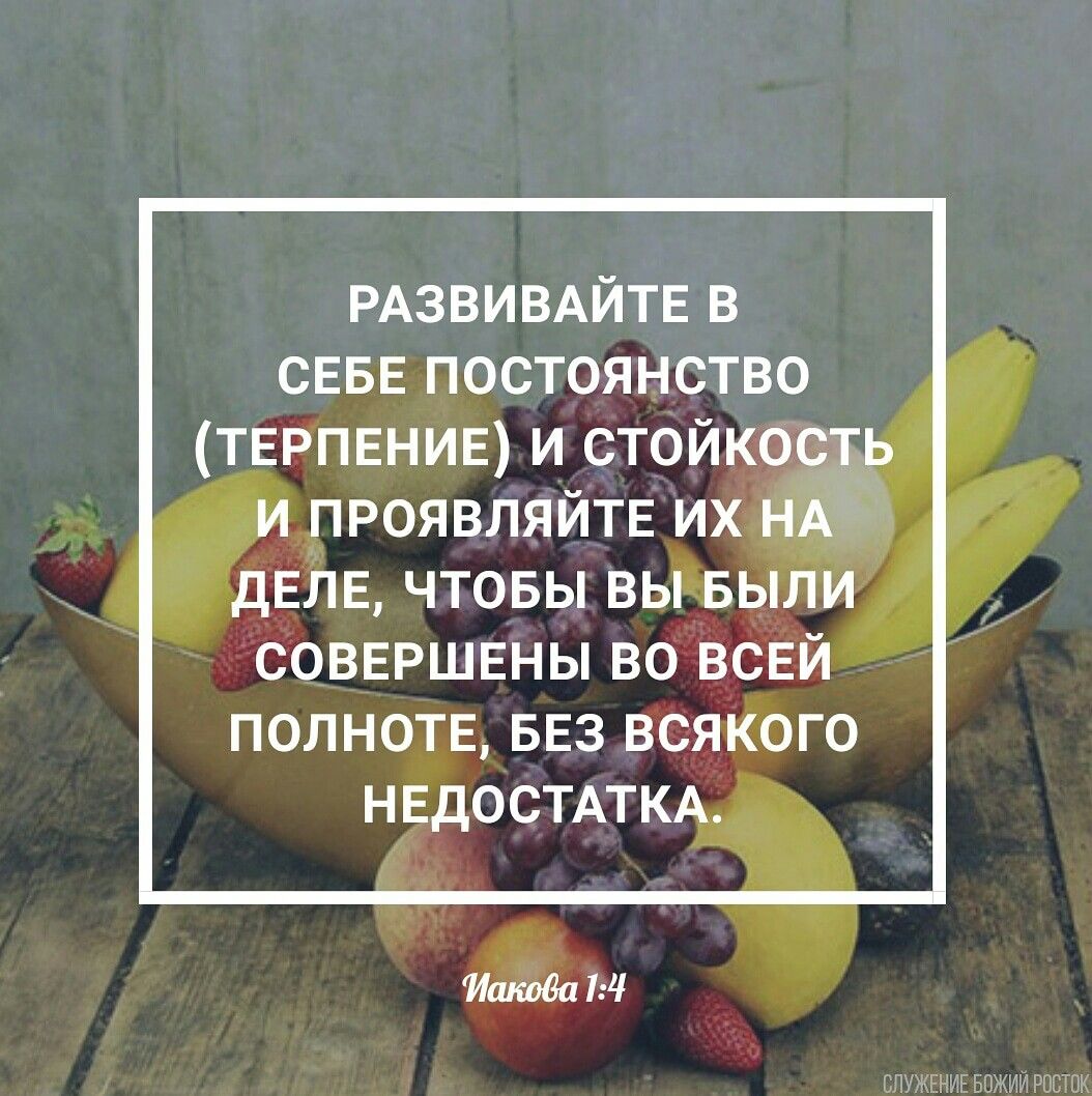 Стойкость почему важно быть стойким. Стойкость почему важно быть стойким. Решительность и упорство. О жизни и стойкости. Почему вас должна волновать финансовая устойчивость honda?.