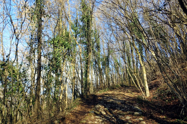 colline san benedetto marostica